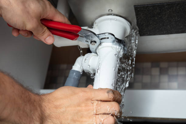 Best Carpet water damage restoration  in Parole, MD
