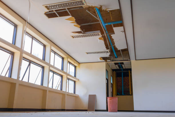 Best Water damage contractors near me  in Parole, MD