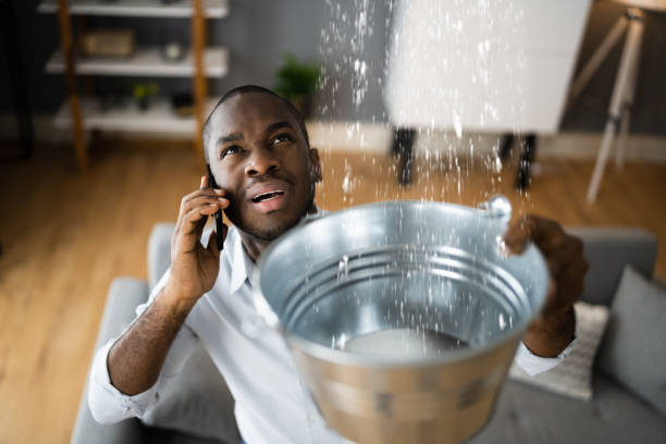 Best Mold removal after water damage  in Parole, MD