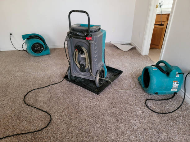 Best Local water damage restoration  in Parole, MD