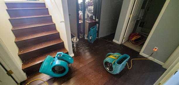 Local water damage restoration in Parole, MD