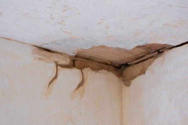 Sewage cleanup and water damage restoration in Parole, MD