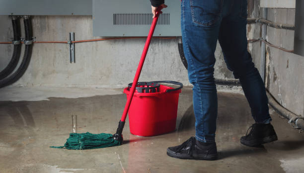 Trusted Parole, MD Water damage restoration Experts