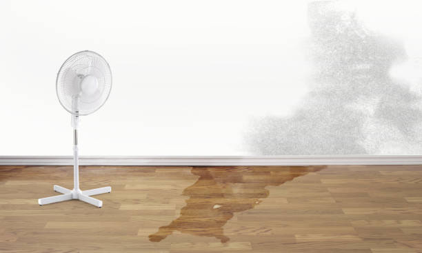 Best Water damage restoration services  in Parole, MD