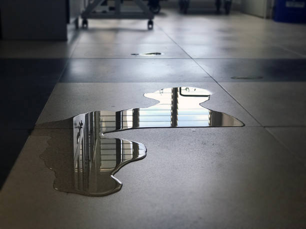 Best Water damage restoration experts  in Parole, MD