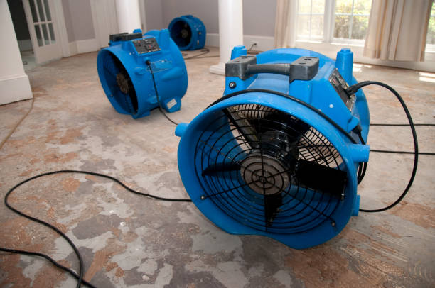 Best Flood restoration services  in Parole, MD