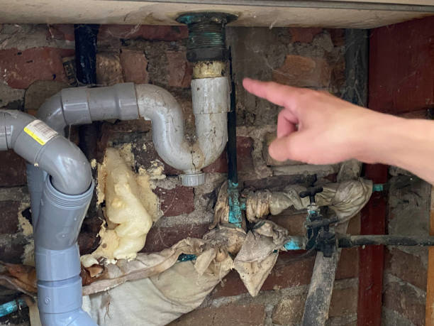 Best Water damage mitigation services  in Parole, MD