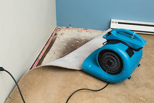 Trusted Parole, MD Water damage restoration Experts